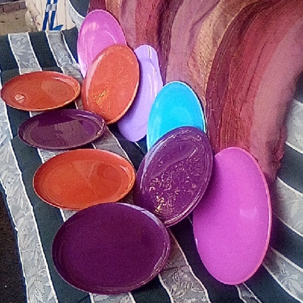 10 Piece Plastic Plate Dish For Home, Camping, Picnics And Parties! No Scratches